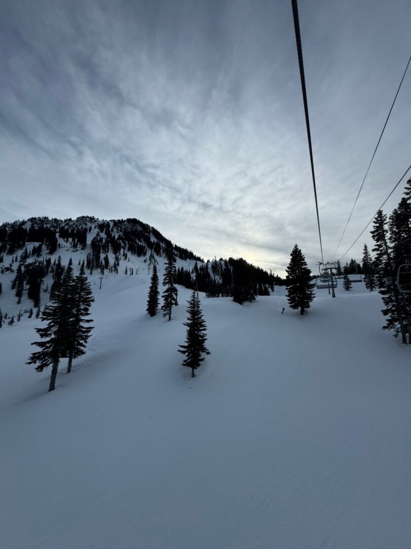 Snow-covered mountain landscape with scattered pine trees under a cloudy sky.