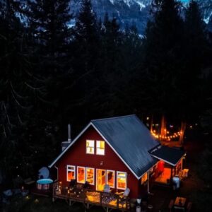 Cozy illuminated cabin in a forest at night.