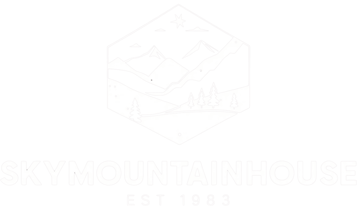 Minimalist mountain logo with pine trees and stars in a hexagon.