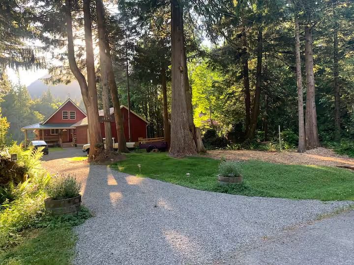 A serene forest pathway leading to a cozy cabin surrounded by tall trees.
