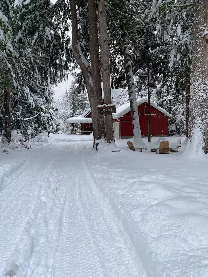 Snow-covered path leads to a red cabin surrounded by tall trees.