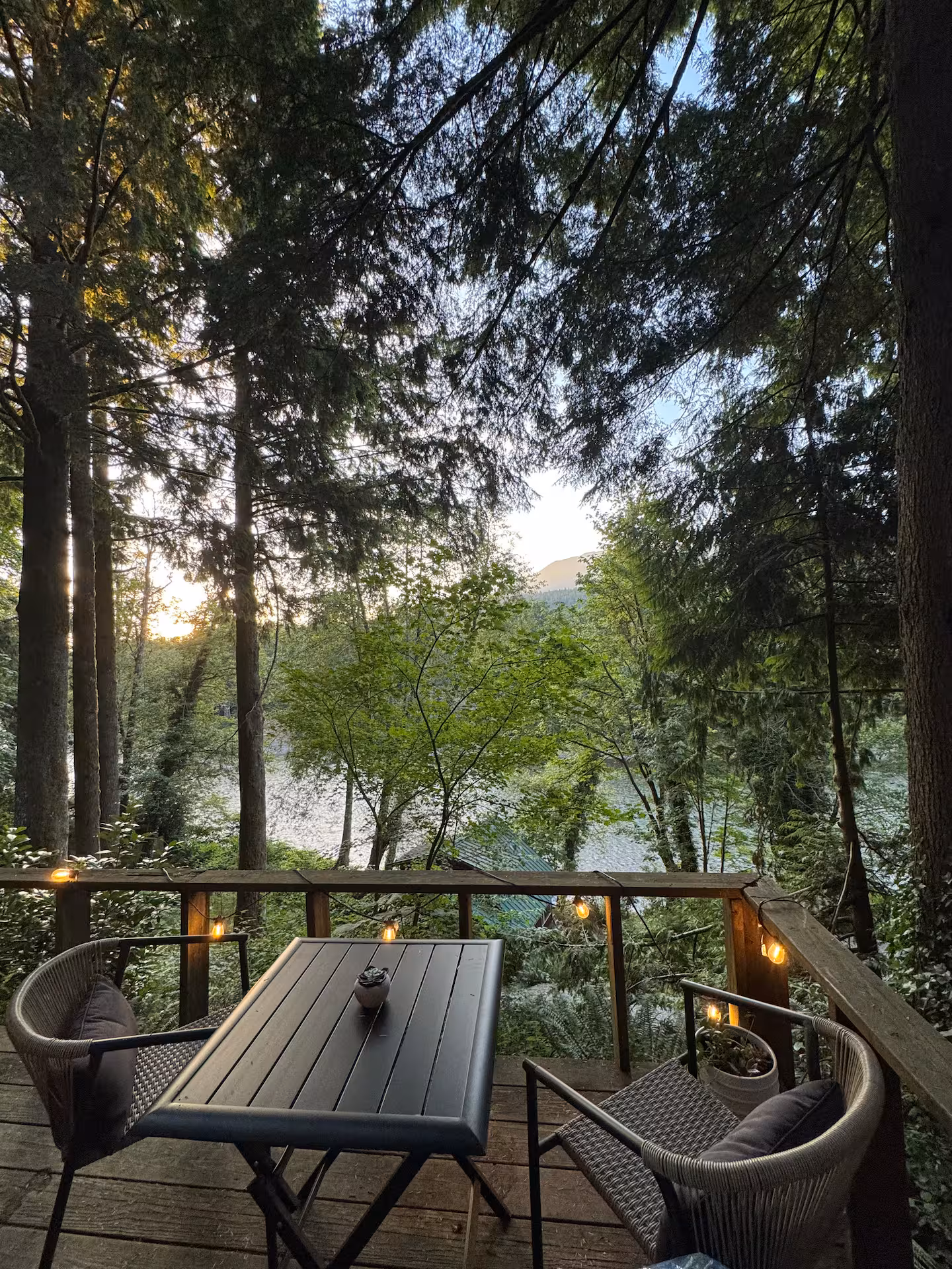 Peaceful forest view from a wooden deck at sunrise.