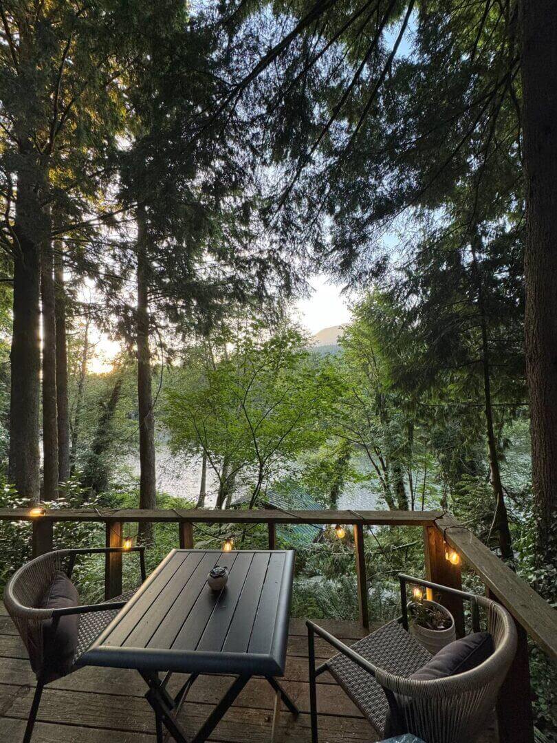 Serene forest view with morning light and a wooden deck.