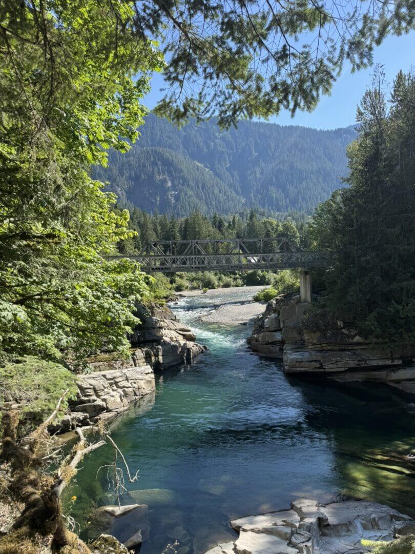 A serene river flowing through a lush forest with mountains in the background.