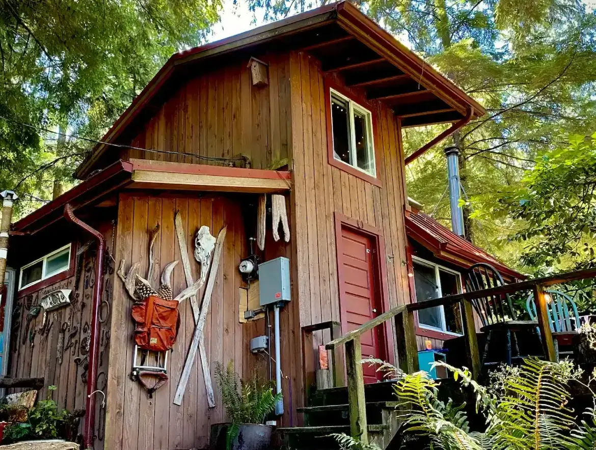 Rustic wooden cabin surrounded by trees with various tools hanging outside.